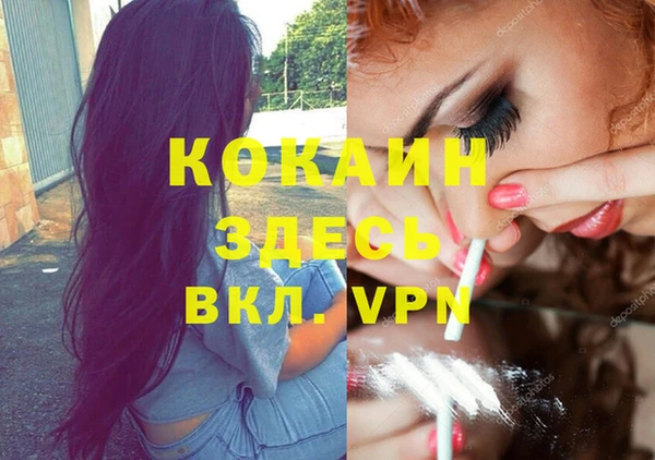 дурь Алексин