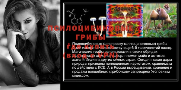 метадон Арсеньев