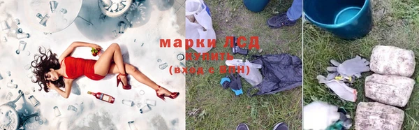 стаф Армянск