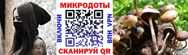 МЕГА как зайти  Ачхой-Мартан  Галлюциногенные грибы MAGIC MUSHROOMS 