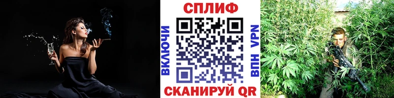 Конопля семена  Ачхой-Мартан 